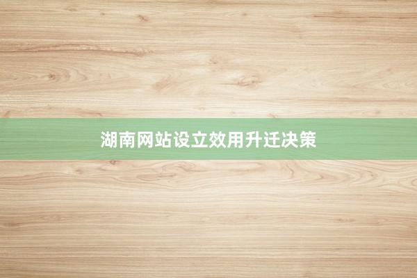 湖南网站设立效用升迁决策