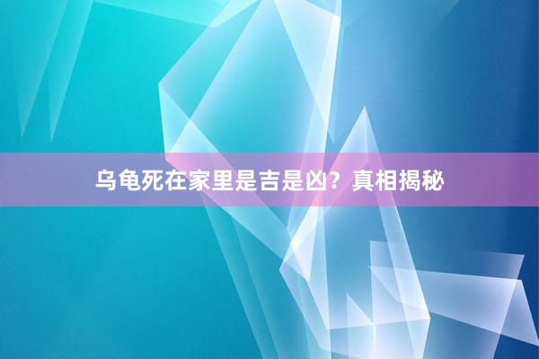 乌龟死在家里是吉是凶？真相揭秘