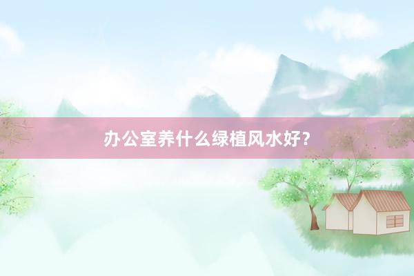 办公室养什么绿植风水好？